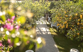 Ristorante La ZagaraCapri