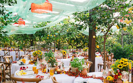 Destination Weddings on Capri